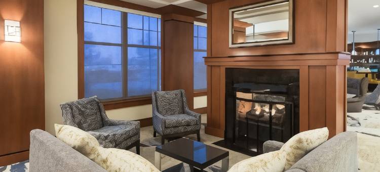 圣路易斯市中心居家酒店(Residence Inn by Marriott St. Louis Downtown)图片