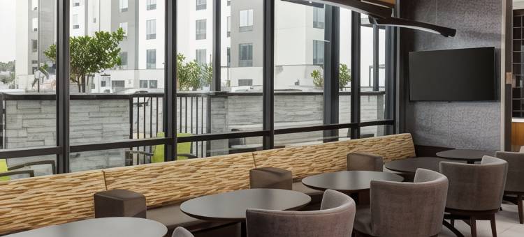 普莱森顿SpringHill Suites酒店(SpringHill Suites Pleasanton)图片