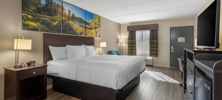 克拉丽奥波因特金博尔精选酒店(Clarion Pointe Kimball by Choice Hotels)图片