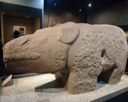 Free admission with reservation as Chengdu Museum extends summer hours