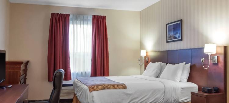 凯艺套房酒店(Quality Hotel & Suites)图片