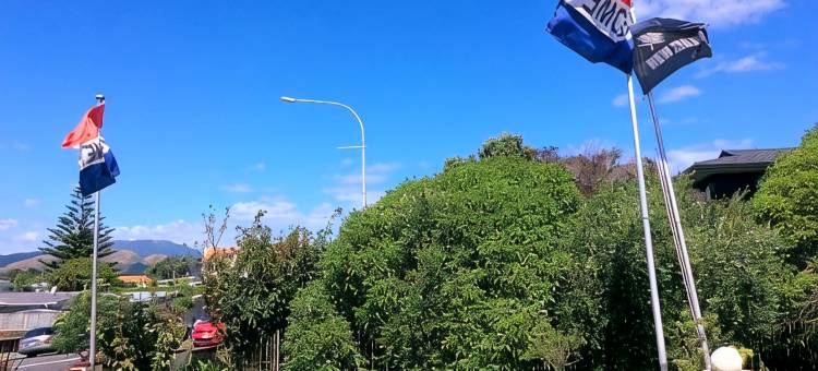 阿苏尔卡皮蒂阁汽车旅馆(Asure Kapiti Court Motel)图片