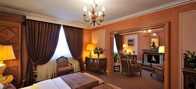 德拉白鹤酒店(Hôtel de la Cigogne)图片