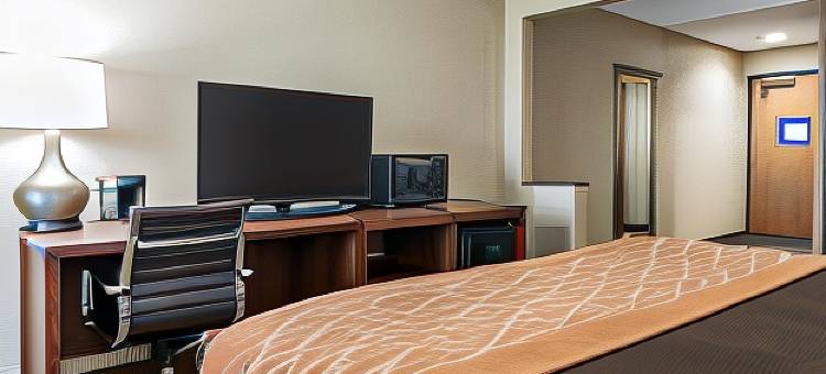 北布鲁艾施舒适酒店(Comfort Inn Blue Ash North)图片