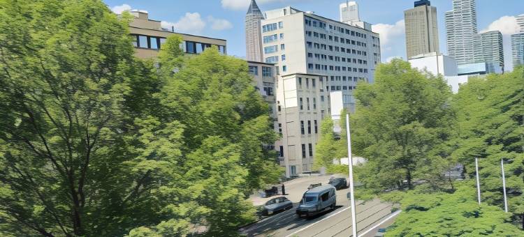 索尔蒂西区美塞法兰克福酒店(Soaltee Westend Messe Frankfurt)图片