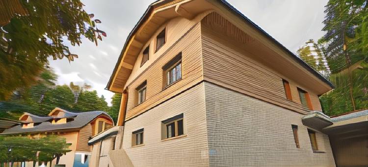 高山别墅酒店(Vila Alpina)图片