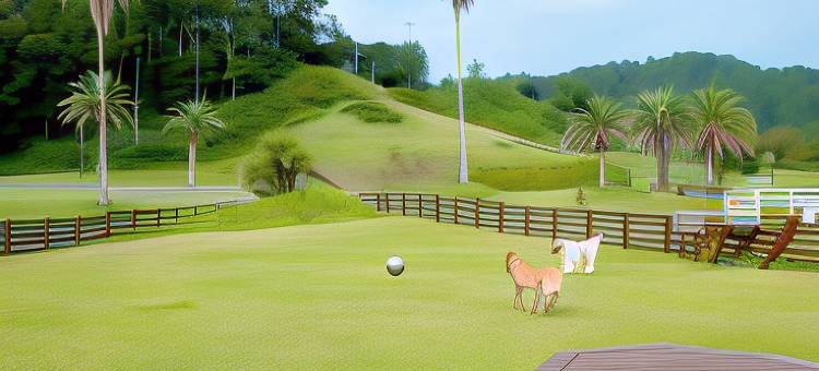 骆驼酒店度假村(Camel Hotel Resort)图片