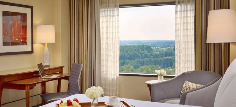 亚特兰大格威内特广场圣淘沙酒店(Sonesta Hotel Gwinnett Place Atlanta)图片