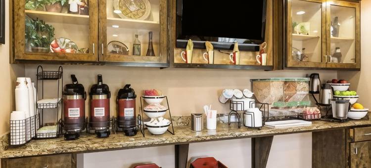 舒适套房酒店(Comfort Inn & Suites)图片