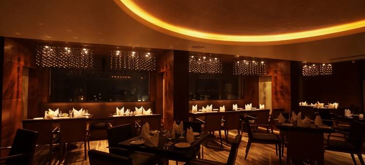 卡基纳达典范萨诺瓦波蒂科酒店(Paradigm Sarovar Portico)图片