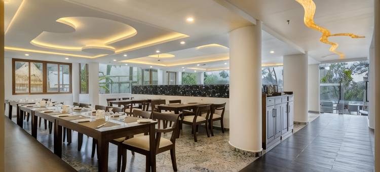 艾利克西尔山套房水疗酒店(Elixir Hills Suites Resort and Spa)图片