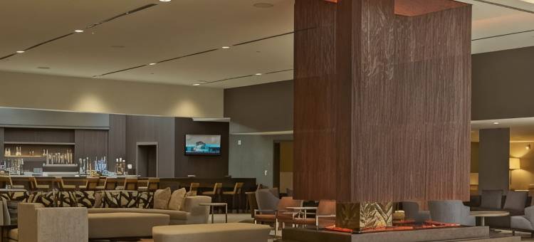 罗利北山希尔顿酒店(Hilton Raleigh North Hills)图片