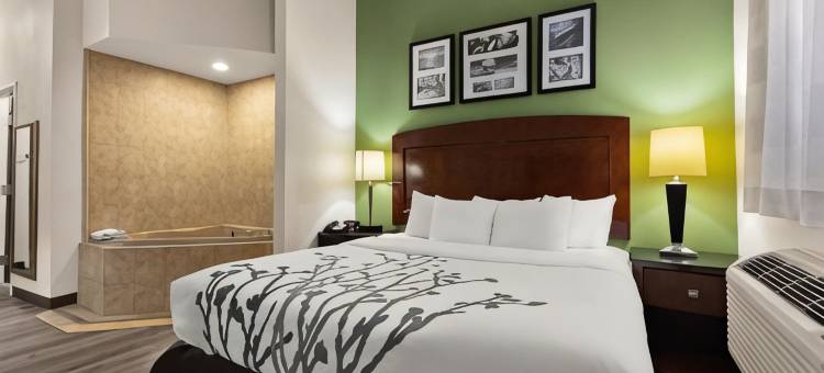 舒眠套房酒店-近安德鲁斯联合基地-华盛顿区(Sleep Inn & Suites Near Joint Base Andrews-Washington Area)图片