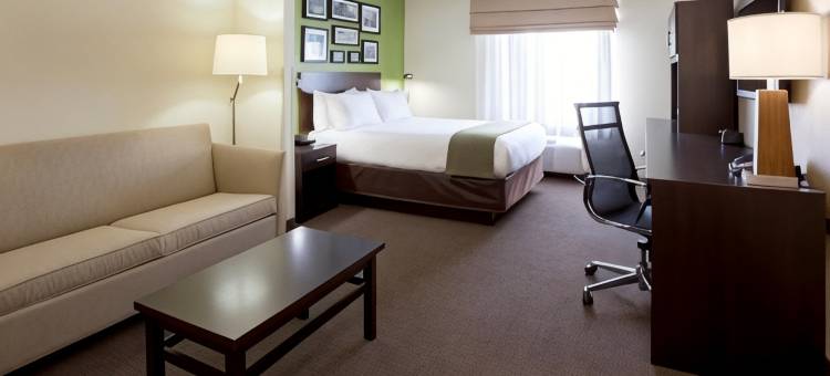 罗杰斯智选假日酒店及套房(Holiday Inn Express & Suites Rogers)图片