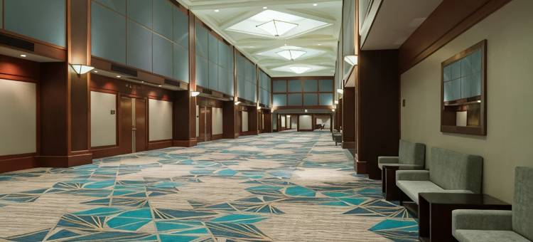 Crowne Plaza 斯普林菲尔德(Crowne Plaza Springfield - Convention Ctr)图片