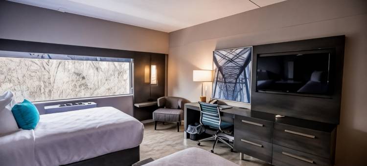 哈里斯堡英迪格酒店-赫尔塞(Hotel Indigo Harrisburg – Hershey)图片