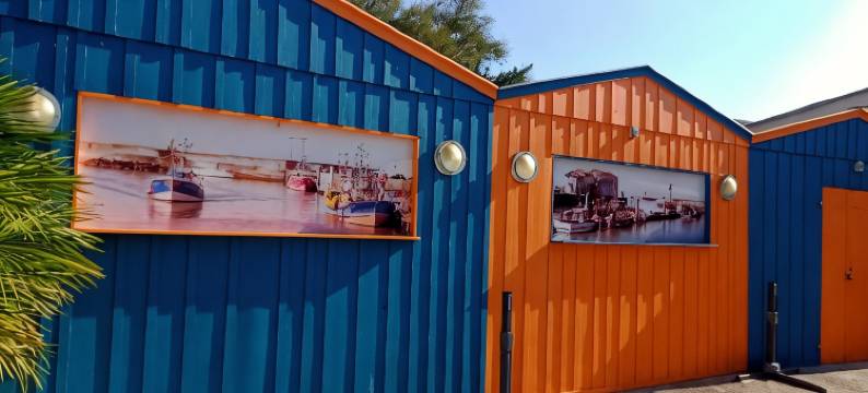 奥莉迪亚奥莱龙公寓(Olydea Oleron les Sables Vignier)图片