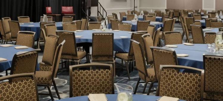 库佩蒂诺朱尼伯格芮希尔顿精选酒店(Juniper Hotel Cupertino, Curio Collection by Hilton)图片