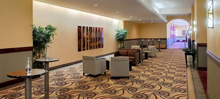 温德姆酒店和水上公园-埃尔帕索机场(Wyndham El Paso Airport Hotel and Water Park)图片