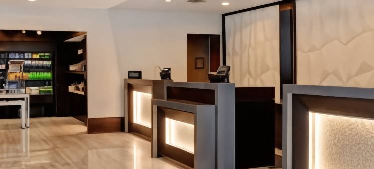 锡拉库兹希尔顿安泊酒店(Embassy Suites by Hilton Syracuse)图片