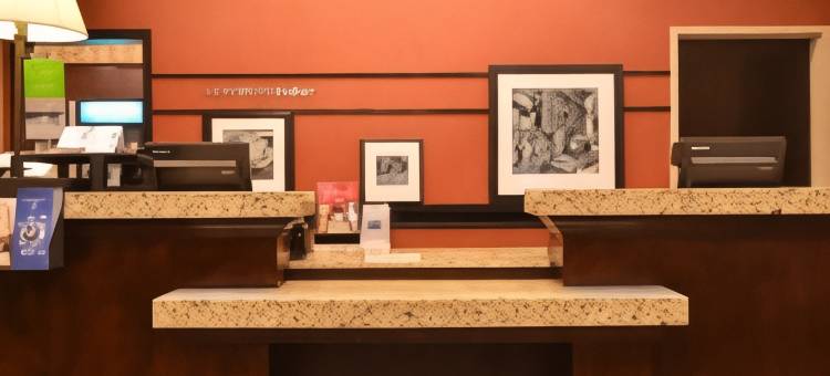 埃德蒙顿国际机场希尔顿欢朋套房酒店(Hampton Inn & Suites by Hilton Edmonton International Airport)图片