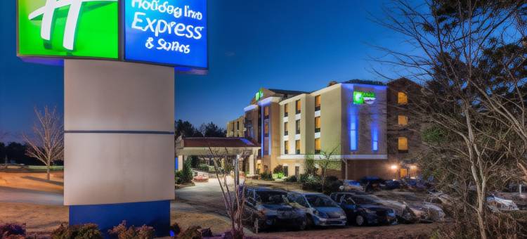 拉伏尼亚智选假日酒店(Holiday Inn Express & Suites LAVONIA by IHG)图片