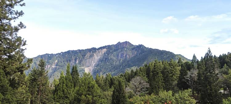 F-商旅(嘉义馆)图片