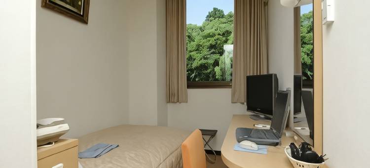 哈马达新城堡酒店(Hamada New Castle Hotel)图片