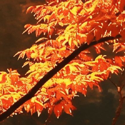 西安+光雾山旅游景区6日5晚拼小团