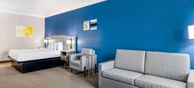 舒适酒店&套房(Comfort Inn & Suites)图片