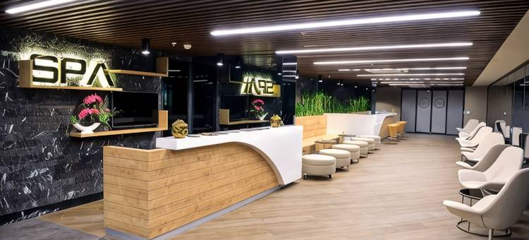 安卡拉Alegria商务酒店(Ankara Alegria Business Hotel)图片