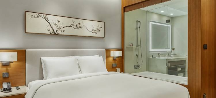 天空花园酒店首尔板桥中心店(Hotel Skypark Central Seoul Pangyo)图片