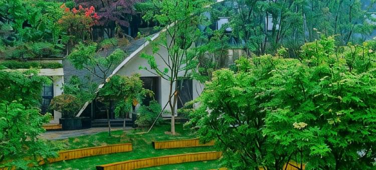 重庆龙门璞村民宿图片