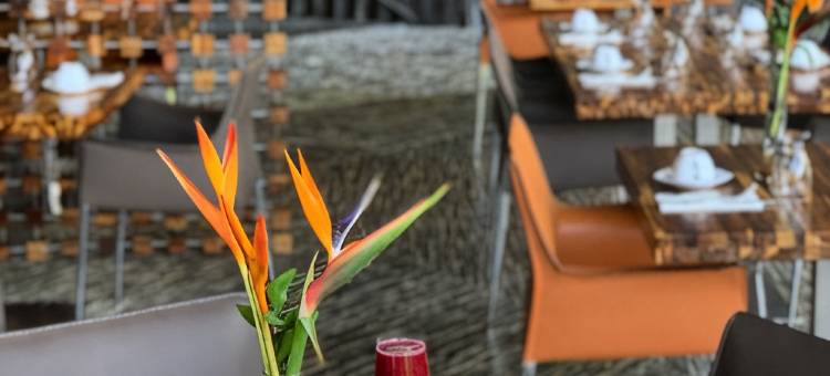 玛坎达海边酒店 - 限成人入住(Makanda by the Sea Hotel Adults Only)图片