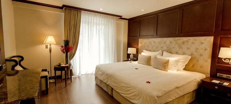 斯嘉丽精品酒店-顺化(The Scarlett Boutique Hotel)图片