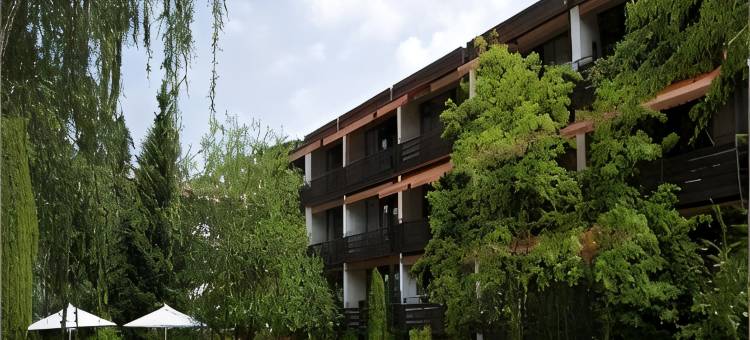 阿斯科纳维塔尔酒店(VitalHotel Ascona)图片