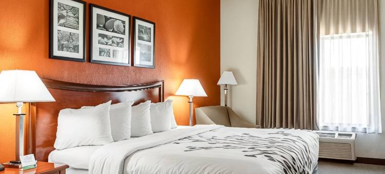 霍布斯的舒眠茵套房酒店(Sleep Inn & Suites)图片
