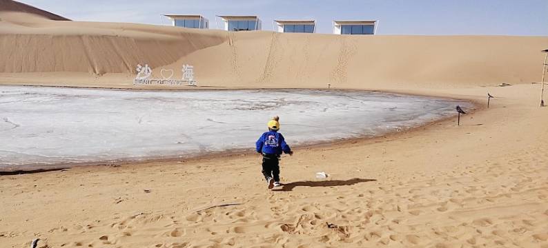 中卫沙漠农庄图片