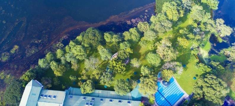 苏度阿拉利亚酒店(Hotel Sudu Araliya)图片