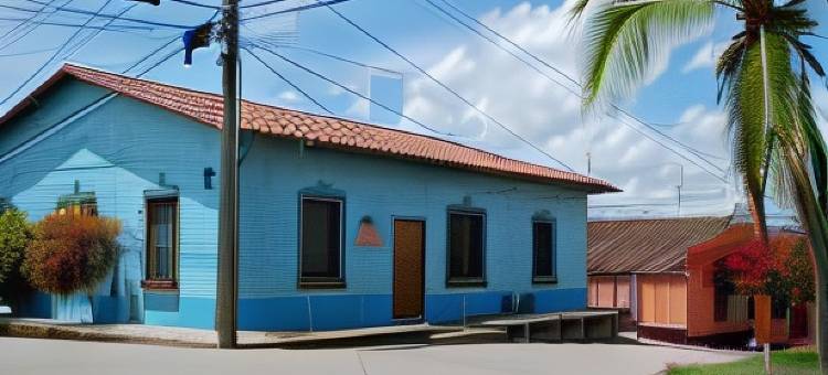 蓝鬣蜥青年旅社(Hostel Iguana Azul)图片