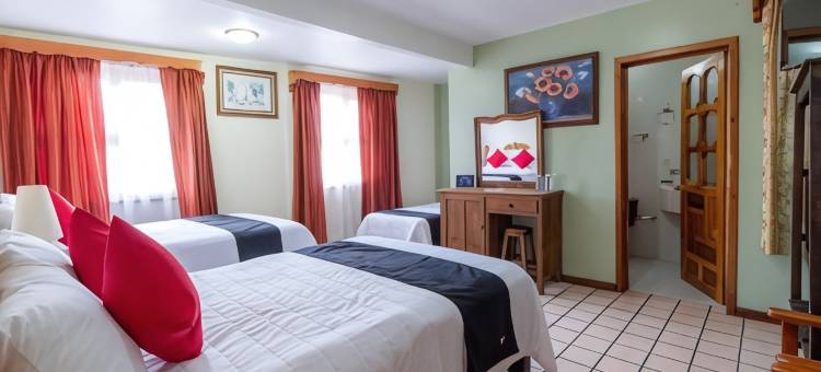 Capital O 洛杉矶圣克里斯托瓦尔德拉斯卡萨斯旅馆(Capital O Hospedaje Los Angeles)图片