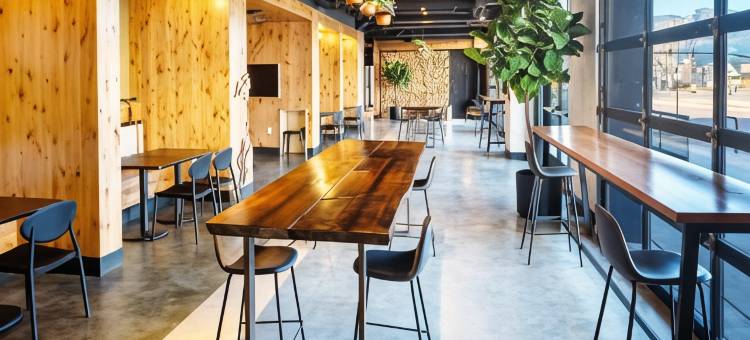 亲缘着陆(Kinship Landing)图片