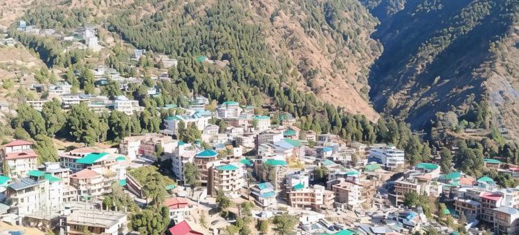 白水旅馆(White Water Inn Mcleodganj)图片
