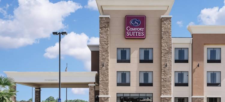 Comfort Suites图片