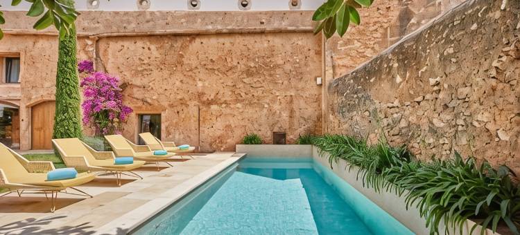 克鲁新小宫殿艺术 Spa 酒店(Sa Creu Nova Petit Palais Art & Spa)图片