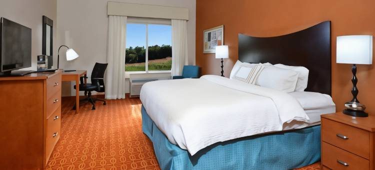 维斯维尔万豪万枫酒店(Fairfield Inn & Suites by Marriott  Albany)图片