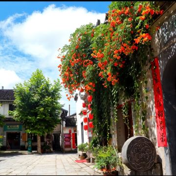 黄山风景区+宏村3日2晚跟团游