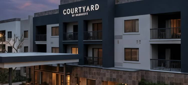 圣迭戈卡尔斯巴德万怡酒店(Courtyard San Diego Carlsbad)图片