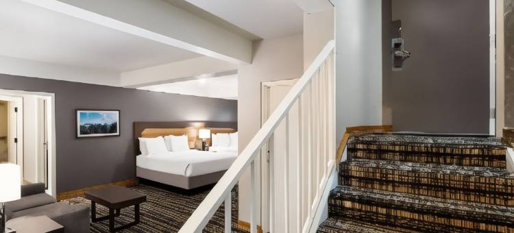 安特乐斯贝斯特韦斯特酒店(Best Western Antlers)图片