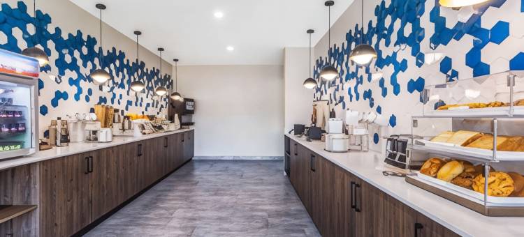 加尔维斯顿西防波堤拉昆塔温德姆套房酒店(La Quinta Inn & Suites by Wyndham Galveston West Seawall)图片